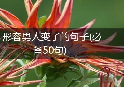 形容男人变了的句子(必备50句)