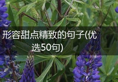 形容甜点精致的句子(优选50句)