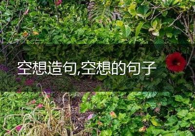 空想造句,空想的句子