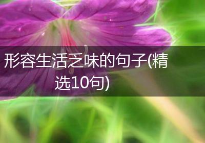 形容生活乏味的句子(精选10句)