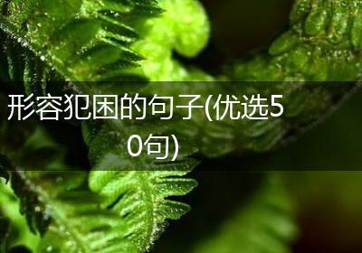 形容犯困的句子(优选50句)
