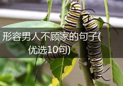 形容男人不顾家的句子(优选10句)