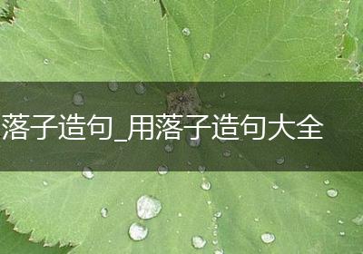 落子造句_用落子造句大全