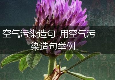 空气污染造句_用空气污染造句举例