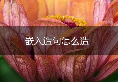 嵌入造句怎么造