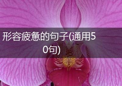 形容疲惫的句子(通用50句)