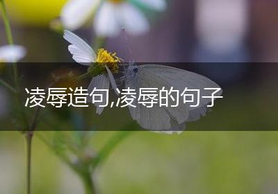凌辱造句,凌辱的句子