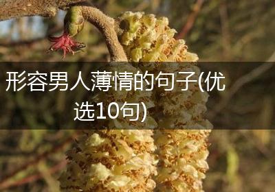 形容男人薄情的句子(优选10句)