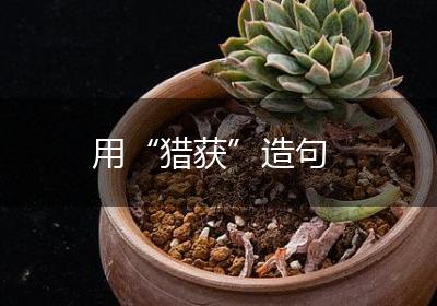 用“猎获”造句