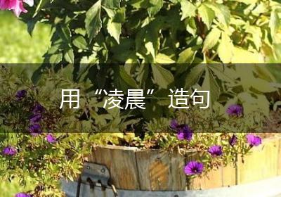 用“凌晨”造句