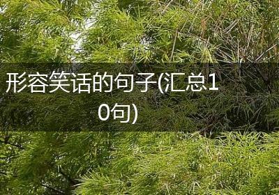 形容笑话的句子(汇总10句)