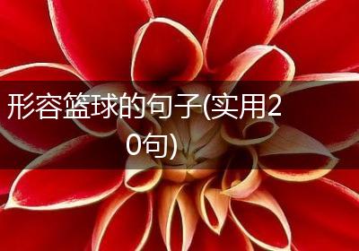 形容篮球的句子(实用20句)