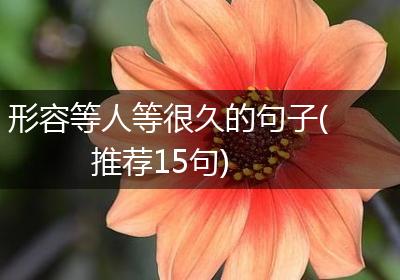 形容等人等很久的句子(推荐15句)