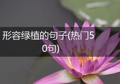 形容绿植的句子(热门50句)