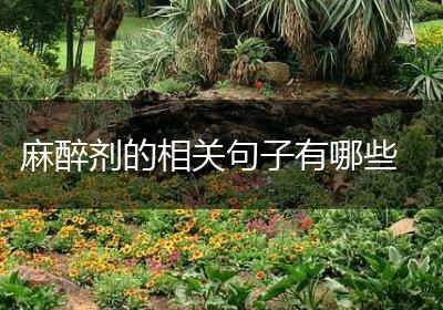 麻醉剂的相关句子有哪些