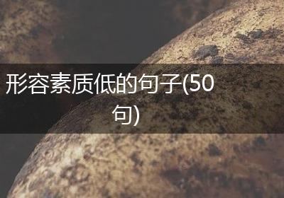 形容素质低的句子(50句)