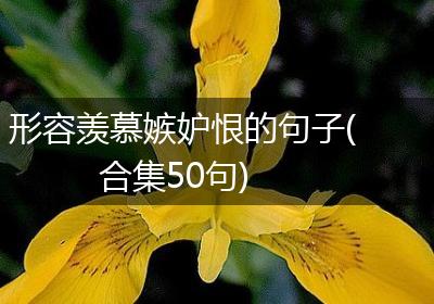 形容羡慕嫉妒恨的句子(合集50句)