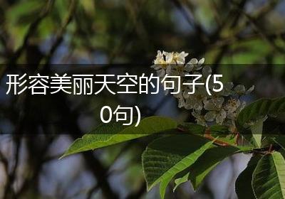 形容美丽天空的句子(50句)