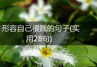 形容自己很贱的句子(实用28句)