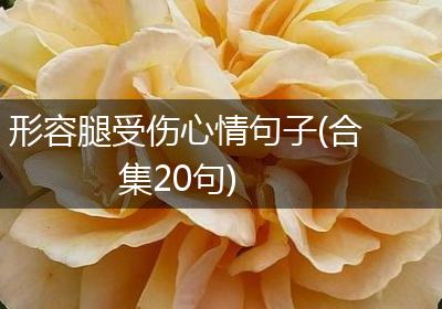 形容腿受伤心情句子(合集20句)