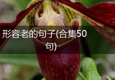 形容老的句子(合集50句)