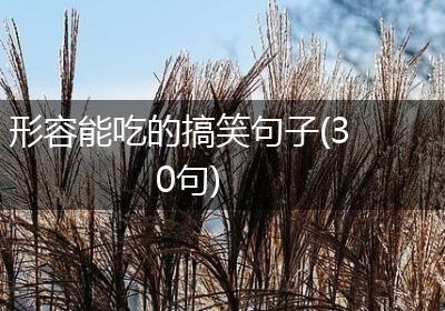 形容能吃的搞笑句子(30句)