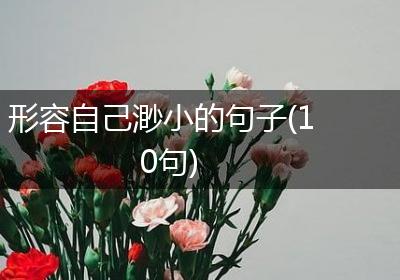 形容自己渺小的句子(10句)