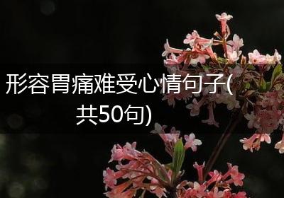 形容胃痛难受心情句子(共50句)