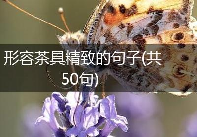 形容茶具精致的句子(共50句)