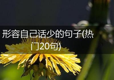 形容自己话少的句子(热门20句)