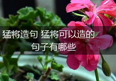 猛将造句 猛将可以造的句子有哪些