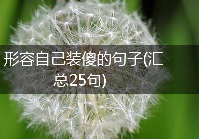 形容自己装傻的句子(汇总25句)