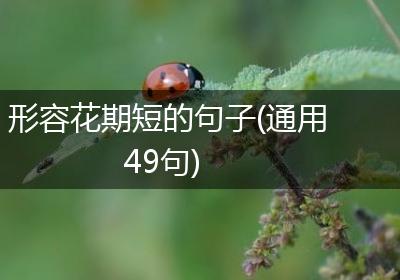 形容花期短的句子(通用49句)