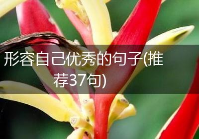 形容自己优秀的句子(推荐37句)