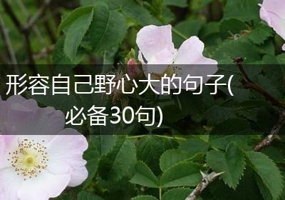 形容自己野心大的句子(必备30句)