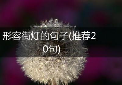 形容街灯的句子(推荐20句)