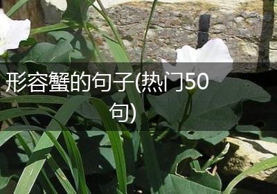 形容蟹的句子(热门50句)