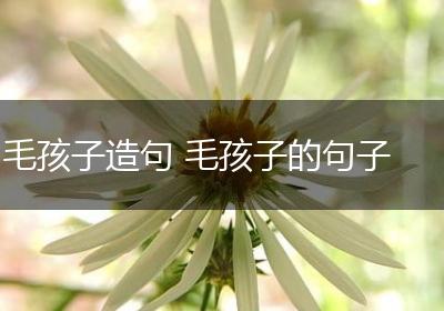 毛孩子造句 毛孩子的句子