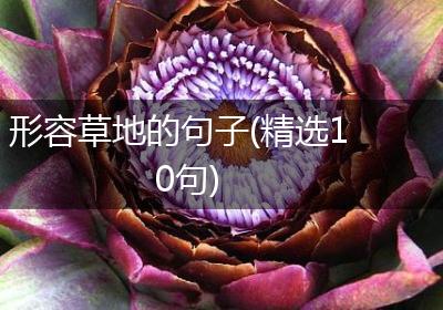 形容草地的句子(精选10句)