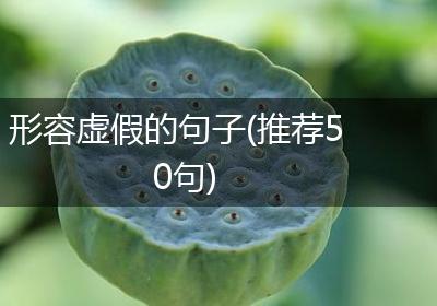 形容虚假的句子(推荐50句)