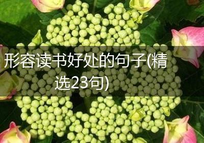 形容读书好处的句子(精选23句)
