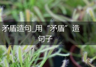 矛盾造句_用“矛盾”造句子