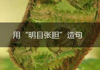 用“明目张胆”造句