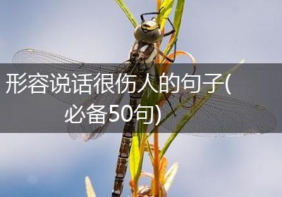 形容说话很伤人的句子(必备50句)