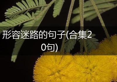 形容迷路的句子(合集20句)