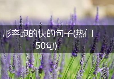 形容跑的快的句子(热门50句)