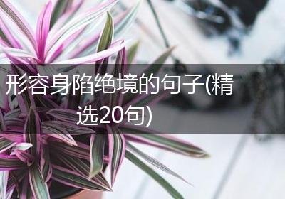 形容身陷绝境的句子(精选20句)
