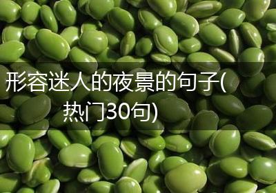 形容迷人的夜景的句子(热门30句)