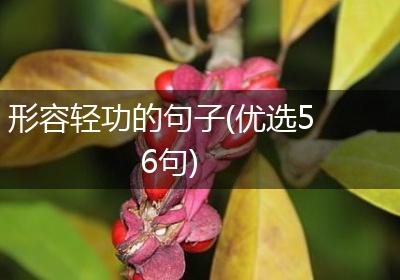 形容轻功的句子(优选56句)