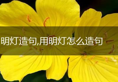 明灯造句,用明灯怎么造句